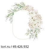 Watercolor wreath with hydrangea flowers and chamomile, green leaves. Illustration. Watercolor wreath with hydrangea flowers and chamomile, green leaves. . Стоковое фото, агентство Ingram Publishing / Фотобанк Лори
