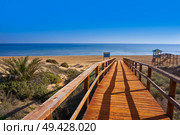 Arenals del Sol Beach dunes in Elche Elx of Alicante in Costa Blanca at Spain. Стоковое фото, агентство Ingram Publishing / Фотобанк Лори