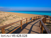 Arenals del Sol Beach dunes in Elche Elx of Alicante in Costa Blanca at Spain. Стоковое фото, агентство Ingram Publishing / Фотобанк Лори