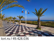 Arenals del Sol Beach in Elche Elx of Alicante Spain promenade Bartolome Tirajana. Стоковое фото, агентство Ingram Publishing / Фотобанк Лори