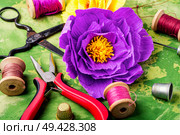 Colourful handmade paper flowers.Making gift for Mother’s Day. Colourful handmade paper flowers. Стоковое фото, агентство Ingram Publishing / Фотобанк Лори