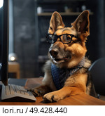 A dog wearing glasses is sitting in front of a computer screen. Стоковое AI-изображение, AI-художник Данила Большаков / Фотобанк Лори