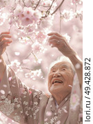 A woman wearing a traditional kimono stands beneath a cherry blossom tree, extending her hand upward towards the delicate pink flowers. Стоковое AI-изображение, AI-художник Данила Большаков / Фотобанк Лори