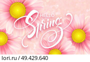 Daisy Flower Background and Hello Spring Lettering. Vector Illustration EPS10. Daisy Flower Background and Hello Spring Lettering. Vector Illustration. Стоковая иллюстрация, агентство Ingram Publishing / Фотобанк Лори