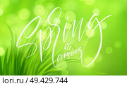 Frash Spring green grass background with handwriting lettering. Vector illustration EPS10. Frash Spring green grass background with handwriting lettering. Vector illustration. Стоковая иллюстрация, агентство Ingram Publishing / Фотобанк Лори