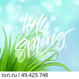 Frash Spring green grass background with handwriting lettering. Vector illustration EPS10. Frash Spring green grass background with handwriting lettering. Vector illustration. Стоковая иллюстрация, агентство Ingram Publishing / Фотобанк Лори