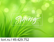 Frash Spring green grass background with handwriting lettering. Vector illustration EPS10. Frash Spring green grass background with handwriting lettering. Vector illustration. Стоковая иллюстрация, агентство Ingram Publishing / Фотобанк Лори