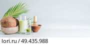 Matcha latte drink with coconut milk on table with whole coconut , matcha espresso and macha whisk, front view, banner. Healthy detox nutrition, vegan food and clean eating concept. Copy space, banner. Стоковое фото, агентство Ingram Publishing / Фотобанк Лори