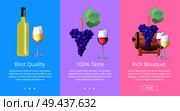 Best quality 100 taste rich bouquet set of posters vector illustration in winemaking concept. Assortment of viticulture products set, place for text. Best Quality Taste Bouquet Set of Posters Vector. Стоковая иллюстрация, агентство Ingram Publishing / Фотобанк Лори