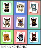 Puppies and dogs poster set, collection of pets pictures, creatures of different breeds and colors, isolated on vector illustration. Dog on a piece of paper clamped with a paper clip. Puppies and Dogs Poster Set Vector Illustration. Стоковая иллюстрация, агентство Ingram Publishing / Фотобанк Лори