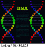 DNA colorful sign on poster with place for text, deoxyribonucleic DNA acid chain carrying genetic instructions used in functioning and reproduction vector. DNA Deoxyribonucleic Acid Chain Nucleotides Poster. Стоковая иллюстрация, агентство Ingram Publishing / Фотобанк Лори