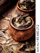 Dried lingonberry leaves. Healing herbs. Dried herbs in alternative medicine. Cowberry leaf.Herbal medicine. Стоковое фото, агентство Ingram Publishing / Фотобанк Лори