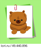 Dwarf Spitz picture, poster with animal with fluffy fur and cute face, pet with fun expression, doggy vector illustration isolated on green background. Dwarf Spitz Picture Poster Vector Illustration. Стоковая иллюстрация, агентство Ingram Publishing / Фотобанк Лори