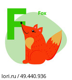 Children ABC with cute animal cartoon vector. English letter F with funny fox flat illustration isolated on white background. Zoo alphabet with mammal and caption for preschool education, kids books. Zoo ABC Letter with Cute Fox Cartoon Vector. Стоковая иллюстрация, агентство Ingram Publishing / Фотобанк Лори