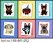 Puppies and dogs poster set, collection of pets pictures, creatures of different breeds and colors, in cap and bows, isolated on vector illustration. Dog on a piece of paper clamped with a paper clip. Puppies and Dogs Poster Set Vector Illustration. Стоковая иллюстрация, агентство Ingram Publishing / Фотобанк Лори