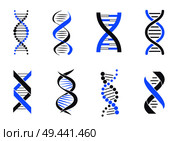 DNA helix patterns colorful vector illustration isolated on white backdrop, blue and black coiled around DNA strands, flexible lines and many circles. DNA Helix Patterns Colorful Vector Illustration. Стоковая иллюстрация, агентство Ingram Publishing / Фотобанк Лори