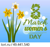 8 March womens day poster with realistic daffodil flowers on blurred blue background, congratulations postcard with spring flowers vector illustration. 8 March Womens Day Poster with Realistic Daffodils. Стоковая иллюстрация, агентство Ingram Publishing / Фотобанк Лори
