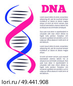 DNA logotype of nucleotides carrying genetic instructions vector, icon of genetic personal code, deoxyribonucleic acid chain symbol with place for text. DNA Logotype of Nucleotides Carrying Genetic Info. Стоковая иллюстрация, агентство Ingram Publishing / Фотобанк Лори