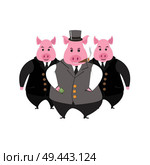 Funny cartoon capitalist pig caricature. Rich piggy boss with cigar, monocle and top hat. Стоковая иллюстрация, агентство Ingram Publishing / Фотобанк Лори