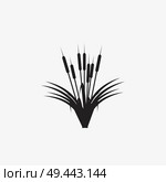 reeds illustration vector icon. Стоковая иллюстрация, агентство Ingram Publishing / Фотобанк Лори