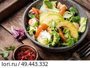 Mix of salad with shrimps,mussel and avocado.Fresh salad with prawns. Fresh salad with prawns. Стоковое фото, агентство Ingram Publishing / Фотобанк Лори