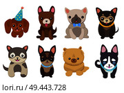 Dogs and puppies collection, poster with pets, of different breeds, pug and basset hound, labrador and chihuahua, dachshund dog on vector illustration. Dogs and Puppies Set Poster Vector Illustration. Стоковая иллюстрация, агентство Ingram Publishing / Фотобанк Лори