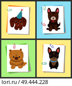 Puppies and dogs poster set, collection of pets pictures, creatures of different breeds and colors, in cap and bows, isolated on vector illustration. Dog on a piece of paper clamped with a paper clip. Puppies and Dogs Poster Set Vector Illustration. Стоковая иллюстрация, агентство Ingram Publishing / Фотобанк Лори
