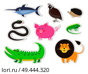 Bird, animals and fish isolated on white background. Blue swordfish, thick hazel grouse, small hedgehog, wriggling snake, pink pig, green lizard, big crocodile and cute lion vector illustrations set.. Wild Bird, Animals and Fish Isolated Stickers. Стоковая иллюстрация, агентство Ingram Publishing / Фотобанк Лори