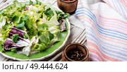 Fresh salad plate with mixed greens.Healthy food. Fresh vegetable salad. Стоковое фото, агентство Ingram Publishing / Фотобанк Лори