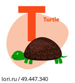 Children ABC with cute animal cartoon vector. English letter T with funny turtle flat illustration isolated on white background. Zoo alphabet with reptile for preschool education, kids books. Zoo ABC Letter with Cute Turtle Cartoon Vector. Стоковая иллюстрация, агентство Ingram Publishing / Фотобанк Лори