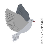 Gorgeous albino dove flies and spreads large wings isolated cartoon flat vector illustration on white background. Small bird that symbolizes love.. Gorgeous White Dove Flies and Spreads Large Wings. Стоковая иллюстрация, агентство Ingram Publishing / Фотобанк Лори
