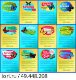 Best spring sale web collection, with text sample and headlines, butterflies and best spring sale and offers set, isolated on vector illustration. Best Spring Sale Web Page Set Vector Illustration. Стоковая иллюстрация, агентство Ingram Publishing / Фотобанк Лори