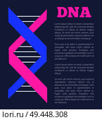 DNA colorful sign on poster with place for text, deoxyribonucleic DNA acid chain carrying genetic instructions used in functioning and reproduction vector. DNA Deoxyribonucleic Acid Chain Nucleotides Poster. Стоковая иллюстрация, агентство Ingram Publishing / Фотобанк Лори