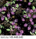 Beautiful watercolor spring pattern with blackberry and flowers anemone . Illustration. Beautiful watercolor spring pattern with blackberry and flowers anemone . . Стоковое фото, агентство Ingram Publishing / Фотобанк Лори