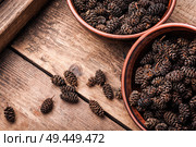 Healing cones of alder in a mortar.Alder seedlings.Herbal medicine. Healing alder cones. Стоковое фото, агентство Ingram Publishing / Фотобанк Лори