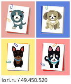 Puppies and dogs poster set, collection of pets pictures, creatures of different breeds and colors, isolated on vector illustration. Dog on a piece of paper clamped with a paper clip. Puppies and Dogs Poster Set Vector Illustration. Стоковая иллюстрация, агентство Ingram Publishing / Фотобанк Лори