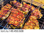 Beef spicy steak in marinade roasted on braai. Barbecue with delicious beefsteak meat on the grill top view. Outdoor season cooking. Picnic on vacations. Стоковое фото, агентство Ingram Publishing / Фотобанк Лори