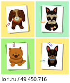 Puppies and dogs poster set, collection of pets pictures, creatures of different breeds and colors, isolated on vector illustration. Dog on a piece of paper clamped with a paper clip. Puppies and Dogs Poster Set Vector Illustration. Стоковая иллюстрация, агентство Ingram Publishing / Фотобанк Лори