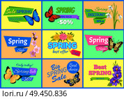 Best spring big sale banners with headlines in ribbons, butterflies types, spring sale and discount vector illustration isolated on green background. Best Spring Big Sale Banners Vector Illustration. Стоковая иллюстрация, агентство Ingram Publishing / Фотобанк Лори