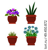 Acattleya and sansevieria, haworthi and flowers in blossom, set of room plants, room plants in pot vector illustration isolated on white background. Acattleya and Sansevieria Set Vector Illustration. Стоковая иллюстрация, агентство Ingram Publishing / Фотобанк Лори