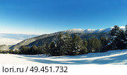 Mountain fir forest and winter snow peaks, sunny day in Bansko, Bulgaria. Стоковое фото, агентство Ingram Publishing / Фотобанк Лори