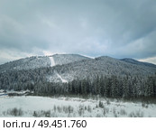 Winter landscape with fir trees in the snow in the mountains. Beautiful view in the wild, Carpathians, Ukraine. Стоковое фото, агентство Ingram Publishing / Фотобанк Лори