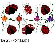 Ladybird beetles with shiny red and black spotted wing, vector pattern of crawling ladybugs and colorful flowers isolated white background. Стоковая иллюстрация, агентство Ingram Publishing / Фотобанк Лори