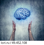 Intellectual protection. Closeup of two human hands holding a blue brain. Save intelligence and mental health concept. Стоковое фото, агентство Ingram Publishing / Фотобанк Лори