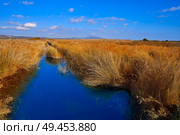 Prat Cabanes Torreblanca Natural Park in Castellon of Spain. Стоковое фото, агентство Ingram Publishing / Фотобанк Лори