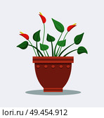 Indoor plant anthurium with red blossom in big clay pot. House flowerpot with green leaves and unusual flowers. Anthurium in pot vector illustration.. Indoor Plant Anthurium with Red Blossom in Pot. Стоковая иллюстрация, агентство Ingram Publishing / Фотобанк Лори