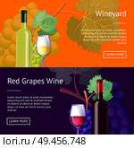 Wineyard and red grapes wine Internet banners set. Delicious exquisite red and white vino in bottles and glasses vector illustrations on web pages. Wineyard and Red Grapes Wine Internet Banners. Стоковая иллюстрация, агентство Ingram Publishing / Фотобанк Лори