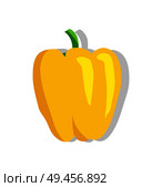 Yellow ripe sweet bell pepper with shiny skin. Bulgarian paprika with small green stem. Ripe healthy vegetable isolated vector illustration. Yellow Ripe Sweet Bell Pepper with Shiny Skin. Стоковая иллюстрация, агентство Ingram Publishing / Фотобанк Лори