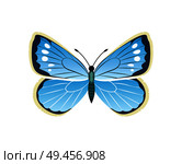 Morpho peleides blue butterfly with dots, wings with ornaments and antenna, vector illustration isolated on white background. Morpho Peleides Blue Butterfly Vector Illustration. Стоковая иллюстрация, агентство Ingram Publishing / Фотобанк Лори