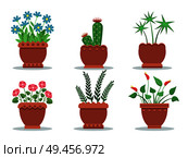 Room plants in pots collection with blossom and leaves, set of house herbs brown vases types vector illustration, isolated on white background. Room Plants in Pots Collection Vector Illustration. Стоковая иллюстрация, агентство Ingram Publishing / Фотобанк Лори